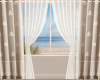 Curtain /Drape