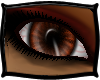 (FXD) Eyes Hallow Brown