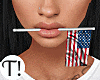 T! USA Casual Bundle