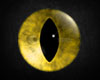 Yellow Cat Eyes V2