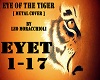 Eye of the tiger [metal]
