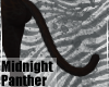 MidnightPanther-TailV4