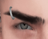 Brow Black \ White 2T