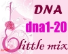 L- DNA---LITTLE MIX