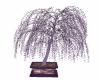 (MC)Lavender willow Tree