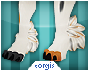 c; Calico Ankle Tufts