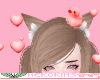 Hearts Salmon