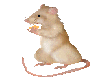 Animated Rat Sticker 1