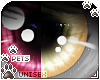 [Pets] Reni | eyes 2-T