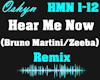 Hear Me Now - Remix