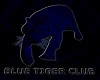 Blue Tiger Club Rug