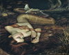 Fantasy Art Mermaids 1c