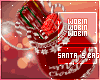 𝕎 Red Xmas Bag