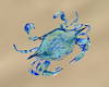 Beach Blue Crab Rug