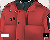 Winter Jacket V2 ❄️