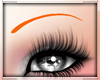 Orange Eyebrows ~