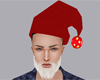 Santa Hat