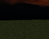 Halloween Night Field