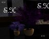 [E.K] purple plant