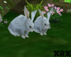 2Ppl A-Rabbits