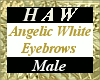 Angelic White Eyebrows M