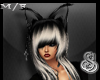 Chained Black Cat Ears