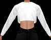 White Crop Top