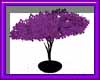 (sm)ani purple daisytree