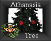 ~QI~ Athanasia Tree