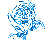 bleu glitter rose