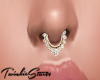 {TS99} Diamond Septum