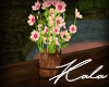 !A Potted flowers decor