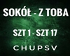 Sokol -  Z Toba