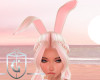 Platinum Bunny Ears
