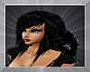 New Black Lush