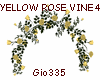 [Gi]YELLOW ROSE VINE 4