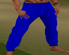 BLUE SWEATS