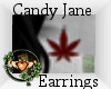 ~QI~ Candy Jane Earrings