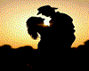 Silhouette/cowboycowgirl