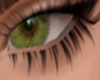 Green Gazer Eyes