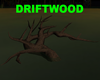 DRIFTWOOD/TREE POSELESS