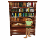 Elegant Brown Bookcase