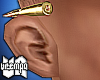 va. ear bullet R