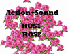 Action Roses {ROS1-ROS2}