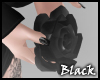 BLACK rose