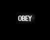 N. Obey Neon Sign