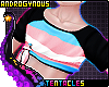 🌈 Trans Pride Shirt A