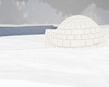 Igloo b/w