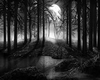 Fear of the Gothic Soul