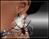 D- Spider Web Earrings